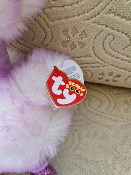 Photo of free Soft toy (East Grinstead town center) #4