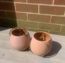 Photo of free Terracotta hanging pots (Sandhurst GU47) #1