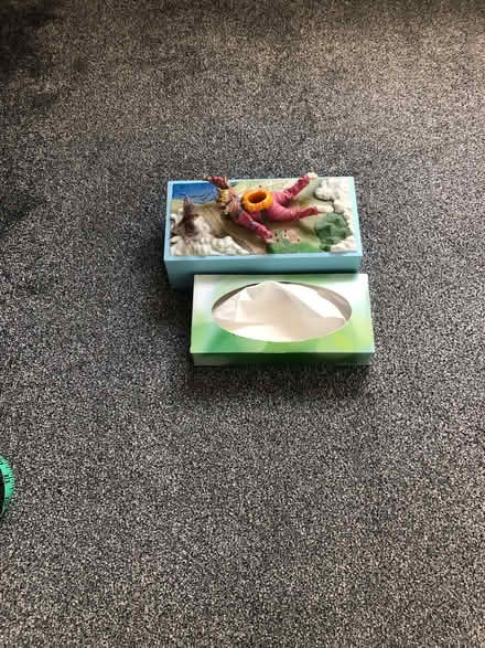 Photo of free Novelty tissue box holder (HP3 8BQ) #2