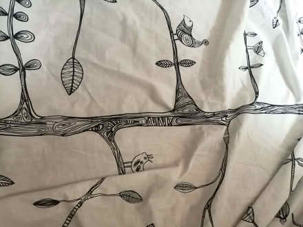 Photo of free Curtains (Gorgie EH11) #1