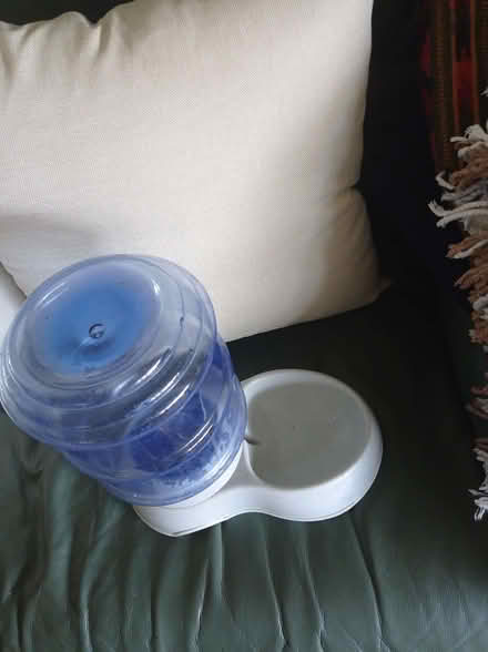 Photo of free Cat Perpetual water bottle (Uckfield TN22) #2