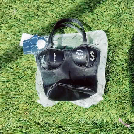 Photo of free Bag (Reddish SK5) #1