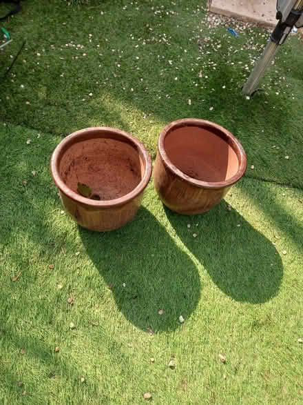 Photo of free Garden plant pots (Hounslow TW4 6Ba) #1