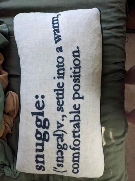 Photo of free "Snuggle" throw pillow (Main St - Pleasant Ln Lombard) #1