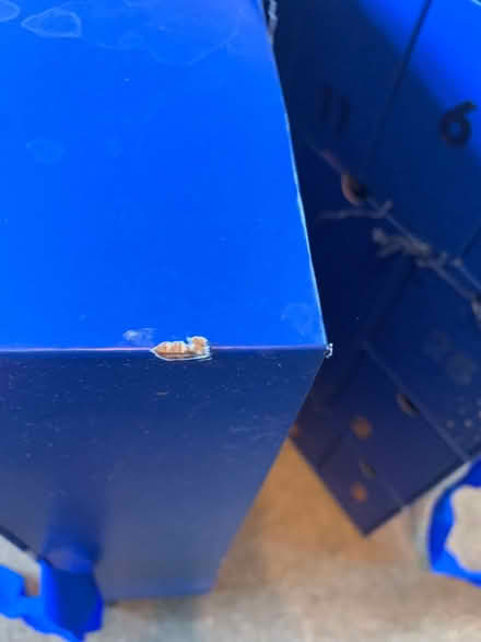Photo of free Empty advent box (Kings Furlong RG21) #4