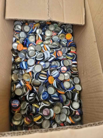 Photo of free Beer bottle caps (Belleville) #1