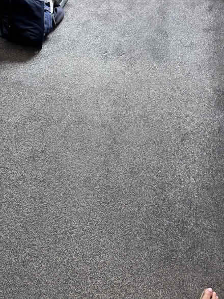 Photo of free Grey carpet (Woodham Walter CM9) #1