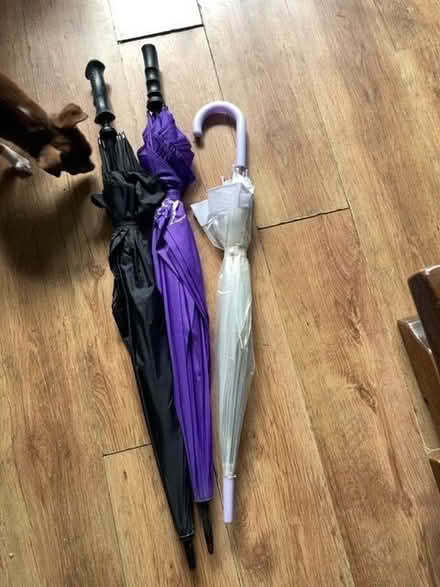 Photo of free Three umbrellas (Gyle EH12) #1