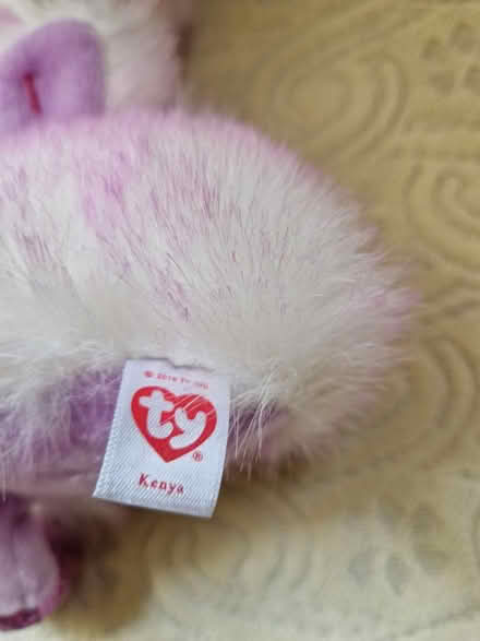 Photo of free Soft toy (East Grinstead town center) #2