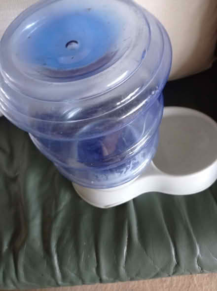 Photo of free Cat Perpetual water bottle (Uckfield TN22) #1