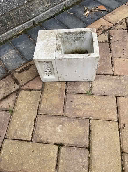 Photo of free Bee brick (Tavistock)