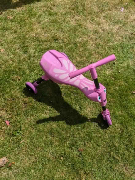 Photo of free Pink Scuttlebug (Ilkeston DE7) #1