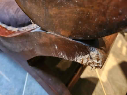 Photo of free Chair (Kendal LA9) #1