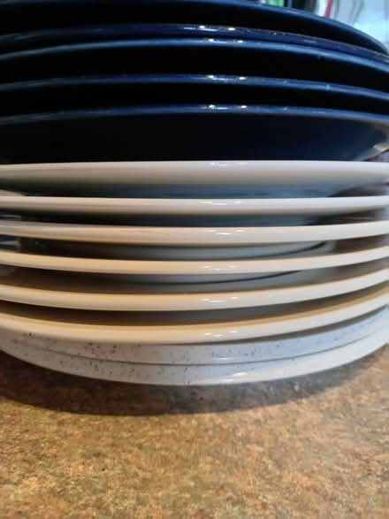 Photo of free Dinner plates (Middlewich CW10) #1