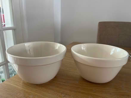 Photo of free Two large bowls (N13)