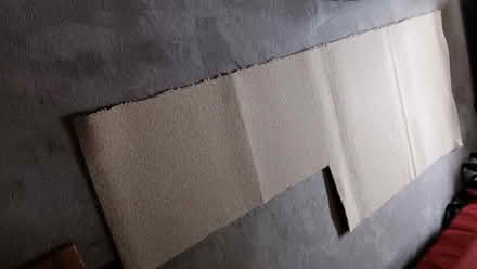 Photo of free A surplus piece of carpet (New Botley OX2) #3
