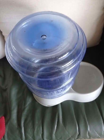 Photo of free Cat Perpetual water bottle (Uckfield TN22) #3