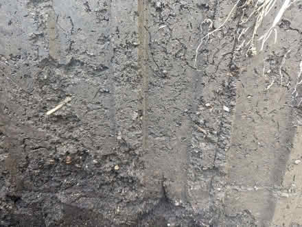 Photo of free Soil/Compost (Pemberton WN5) #1