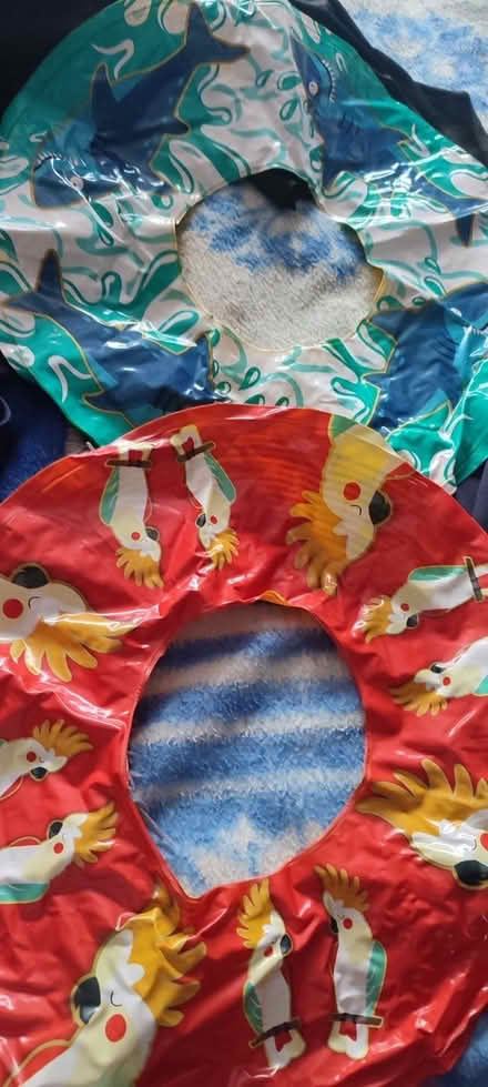 Photo of free Swimming ring (Walton) #1