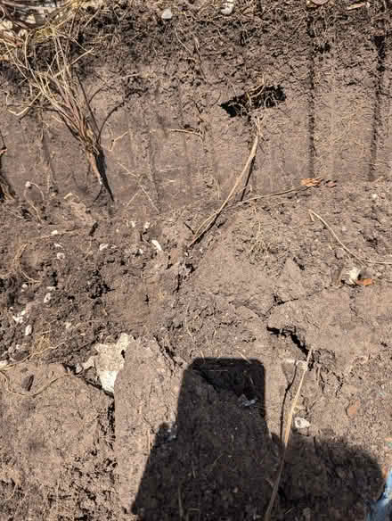 Photo of free Soil/Compost (Pemberton WN5) #2
