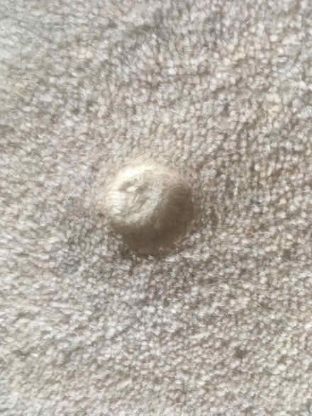 Photo of free Carpet Hessian backed woven (Kennington SE11) #4