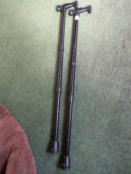 Photo of free Adjustable walking sticks (PH10 Kirkton of Lethendy) #1