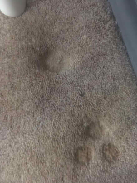 Photo of free Carpet Hessian backed woven (Kennington SE11) #1