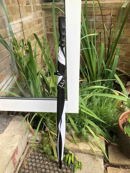 Photo of free Large Umbrella (Parliament Hill Fields, NW5) #3