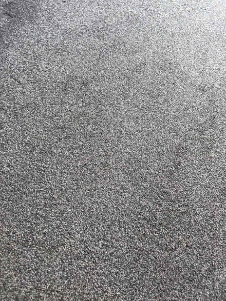 Photo of free Grey carpet (Woodham Walter CM9) #2