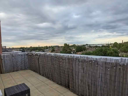 Photo of free Artificial Bamboo fence (Seven Sisters N15) #1