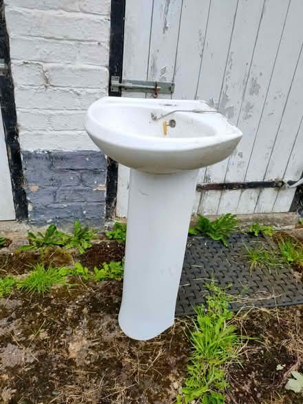 Photo of free Corner sink (Pant SY10) #2
