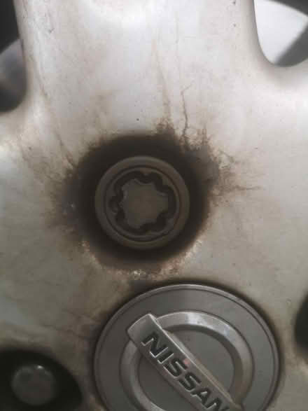 Photo of Locking nut (M13 longsight) #1