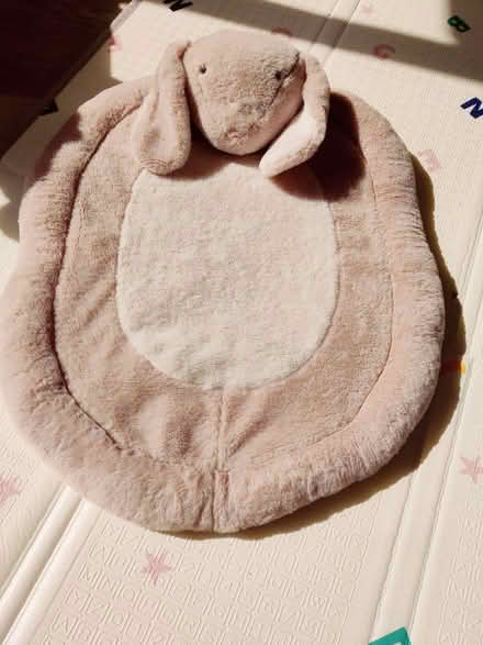 Photo of free Bunny baby playmat (Tadley, RG26) #2