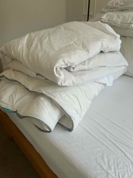 Photo of free IKEA Rug and double duvet (Chiswick) #2