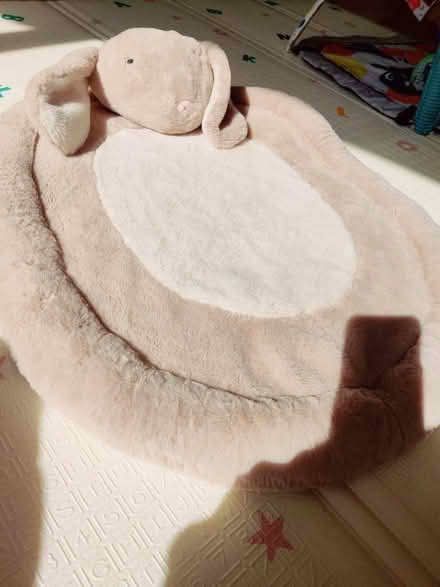 Photo of free Bunny baby playmat (Tadley, RG26) #1