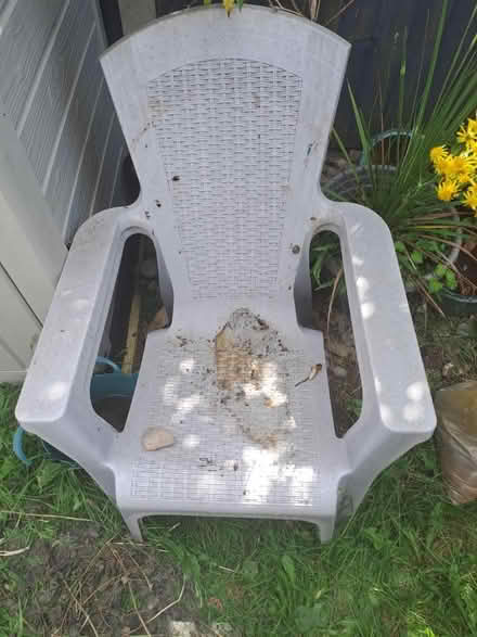 Photo of free Two Grey chairs (Luton) #1
