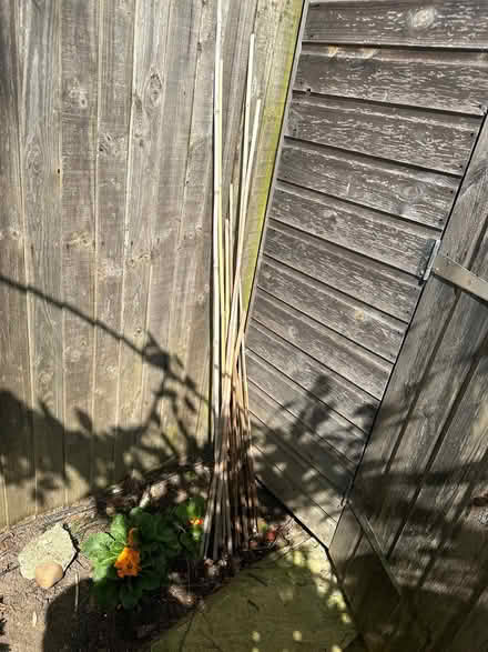 Photo of free Garden canes (Aylesbury Vale LU7) #1