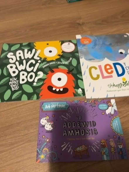 Photo of free 3 x welsh kids books (Mold CH7) #1