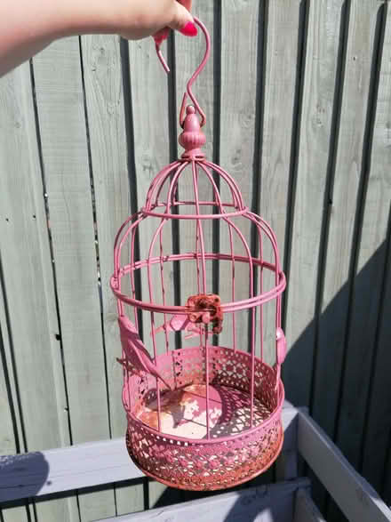 Photo of free Garden decorative bird cage (City of Bristol BS4) #4
