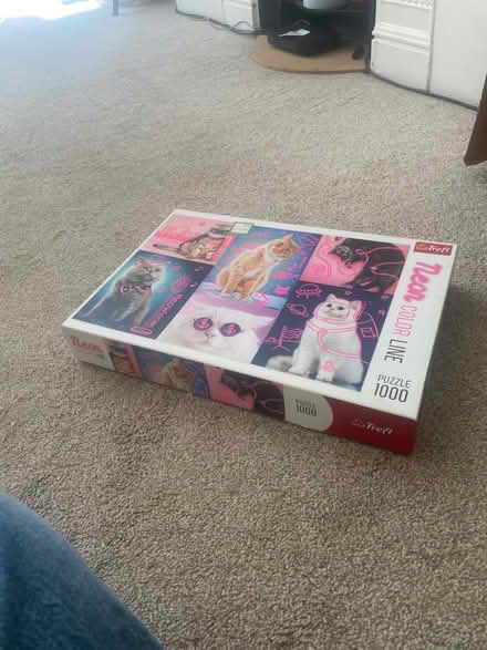 Photo of free cat puzzle (Chiswick) #1