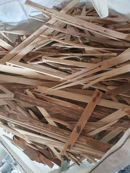 Photo of free Wood (Eastbourne BN21) #1