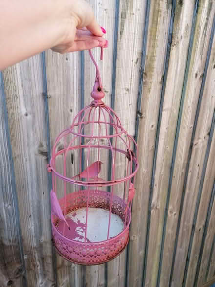 Photo of free Garden decorative bird cage (City of Bristol BS4) #1