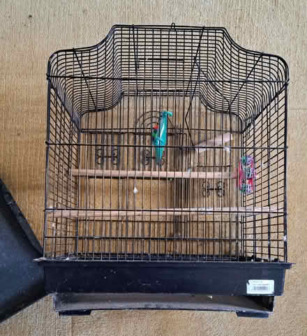 Photo of free Budgie cage (Boarhunt PO17) #1