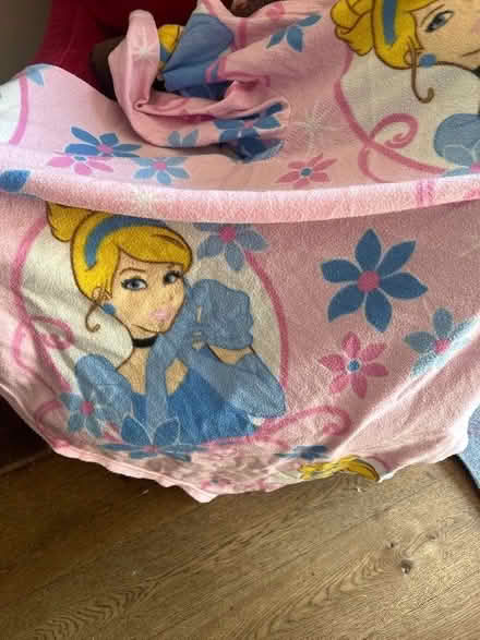 Photo of free Disney princess slankets x2 (Little Chalfont HP8) #1