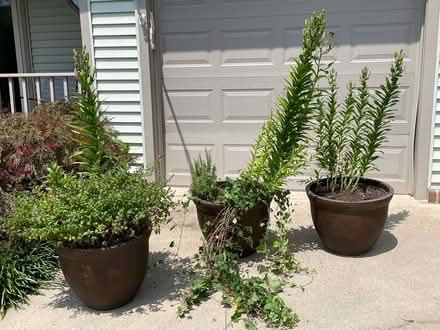 Photo of free Outdoor Plant Pots (Gtown + Clopper & Richter Farm) #1