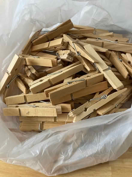 Photo of free Wash pegs (Knotty Ash L14) #1