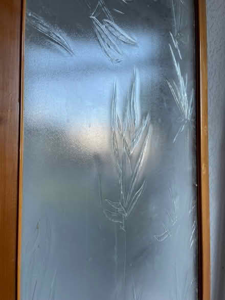 Photo of free Frosted glass door (Chorlton M21) #1