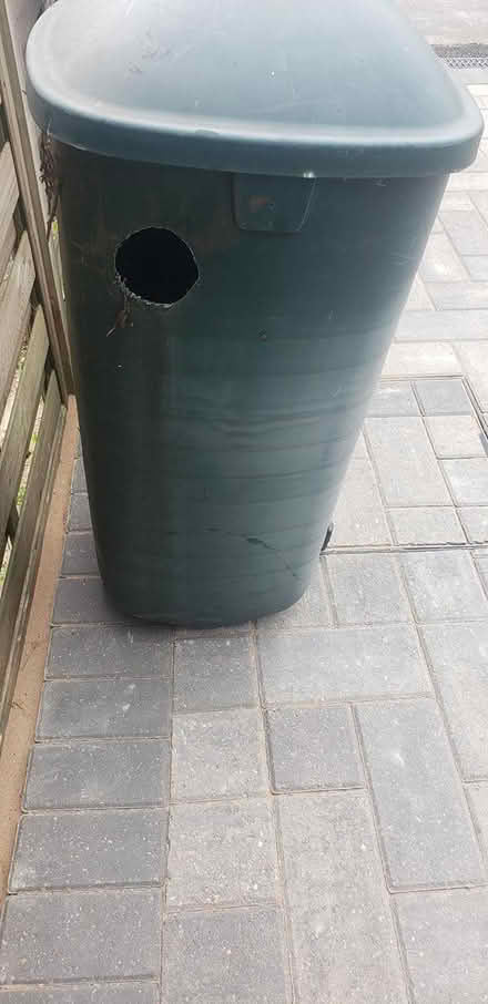Photo of free Rain Barrel and Stand (EN8) #3