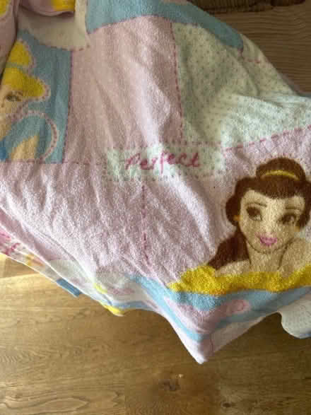 Photo of free Disney princess slankets x2 (Little Chalfont HP8) #2