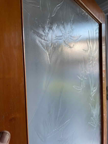 Photo of free Frosted glass door (Chorlton M21) #3
